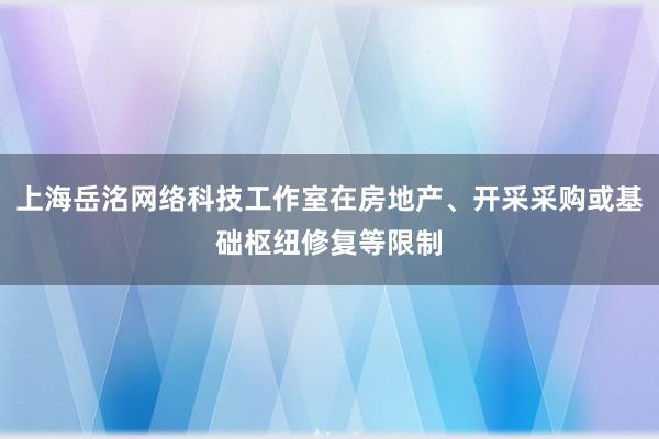 上海岳洺网络科技工作室在房地产、开采采购或基础枢纽修复等限制